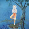 drshamkara